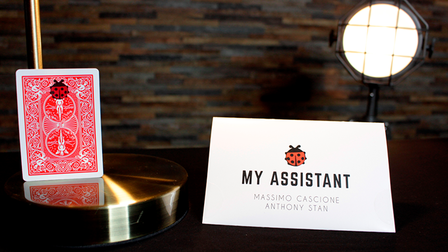 My Assistant by Massimo Cascione and Anthony Stan