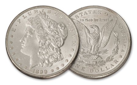 Morgan Dollar Coin Shell set (5+2)