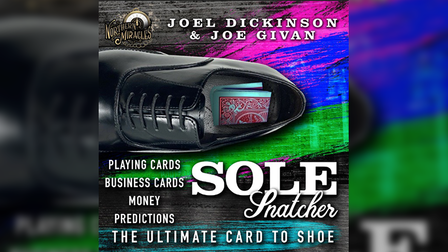 SOLE SNATCHER by Joel Dickinson &amp; Joe Givan