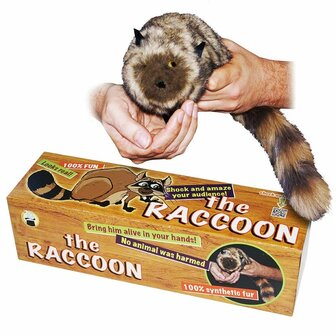 The Raccoon