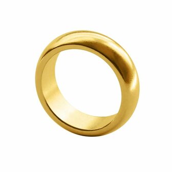 PK Ring - Goud 22mm