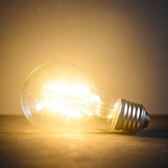 Light Bulb Pro