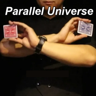 Parallel Universe by Wang Zhe