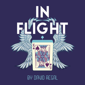 In Flight David Regal