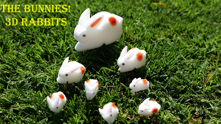 The Bunnies! 3D Rabbits (Parents, Kids &amp; Grandpa)
