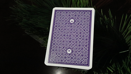 DMC Alpha V3 (Paars) Portcullis met online instructies