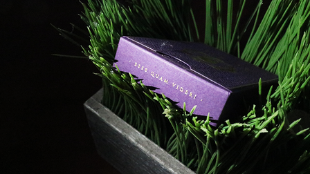 DMC Alpha V3 (Paars) Portcullis met online instructies