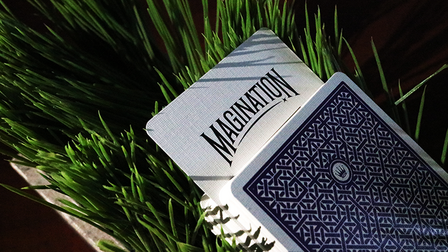 DMC Alpha V3 (Paars) Portcullis met online instructies