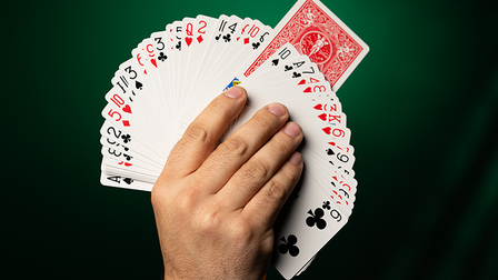 Fiedler's Flier (With Online Instruction) by DARYL