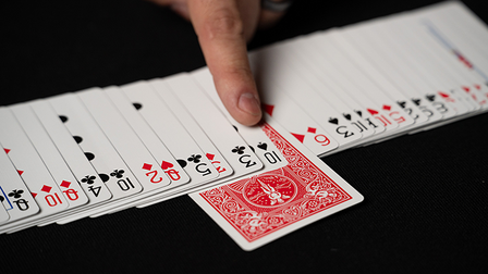 Fiedler's Flier (With Online Instruction) by DARYL