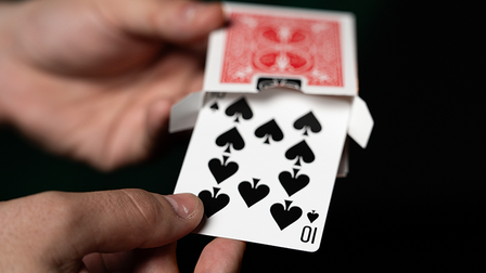 Fiedler's Flier (With Online Instruction) by DARYL