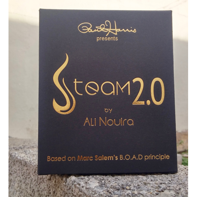 Steam 2 - Ali Nouira & Paul Harris