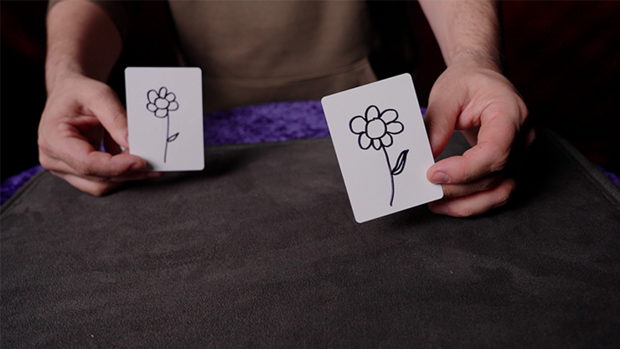 Blank Vision by Giovanni Cricchio PLUS blanco deck