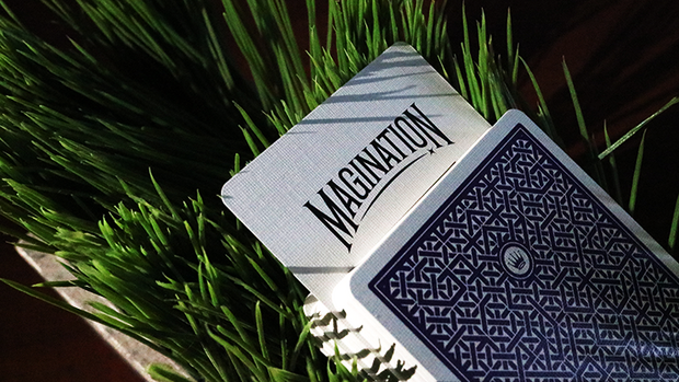 DMC Alpha V3 (Paars) Portcullis met online instructies