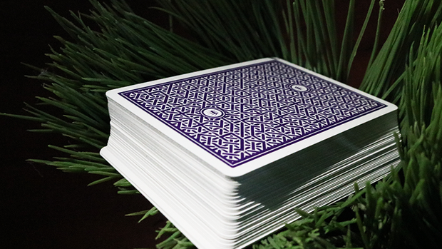 DMC Alpha V3 (Paars) Portcullis met online instructies