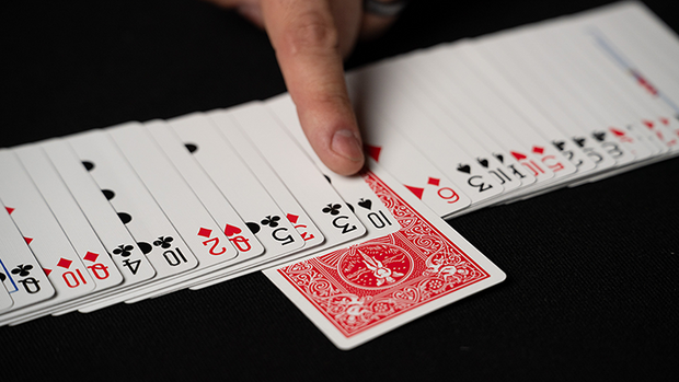 Fiedler's Flier (With Online Instruction) by DARYL