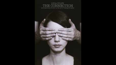 The Connection book by Luca Volpe