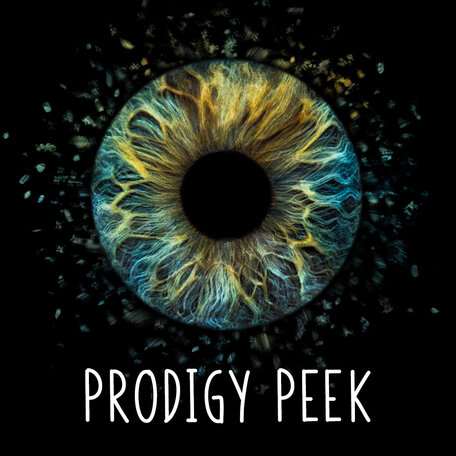 Prodigy peek book by Franz
