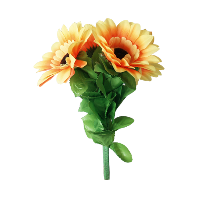 Amazing Split sunflowers by Premium magic