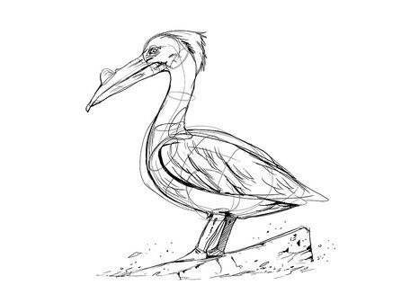 Pelican Gimmick - Akira Ishizaki