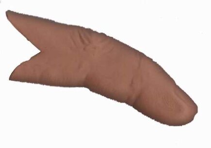 Zesde vinger / 6th finger Zesde vinger / 6th finger