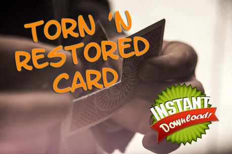 Torn 'n Restored card Torn 'n Restored card