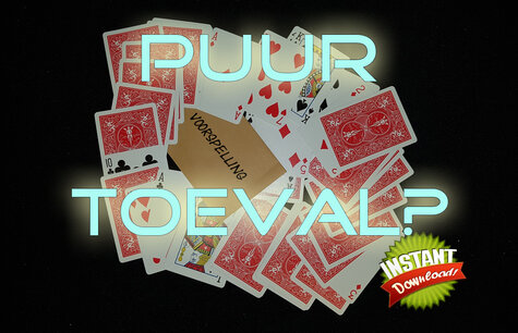 Puur toeval? Instant download Puur toeval? Instant download