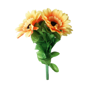 Amazing Split sunflowers by Premium magic Amazing Split sunflowers by Premium magic