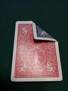 Bicycle speciaal rood-blauw Bicycle speciaal rood-blauw