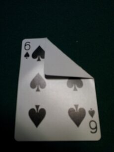 Bicycle speciaal blank-face Bicycle speciaal blank-face