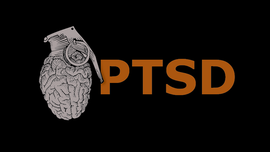 PTSD by Mark Lemon PTSD by Mark Lemon
