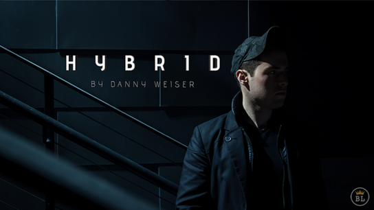 HYBRID by Danny Weiser HYBRID by Danny Weiser