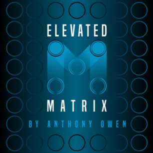 Elevated Matrix by Anthony Owen
